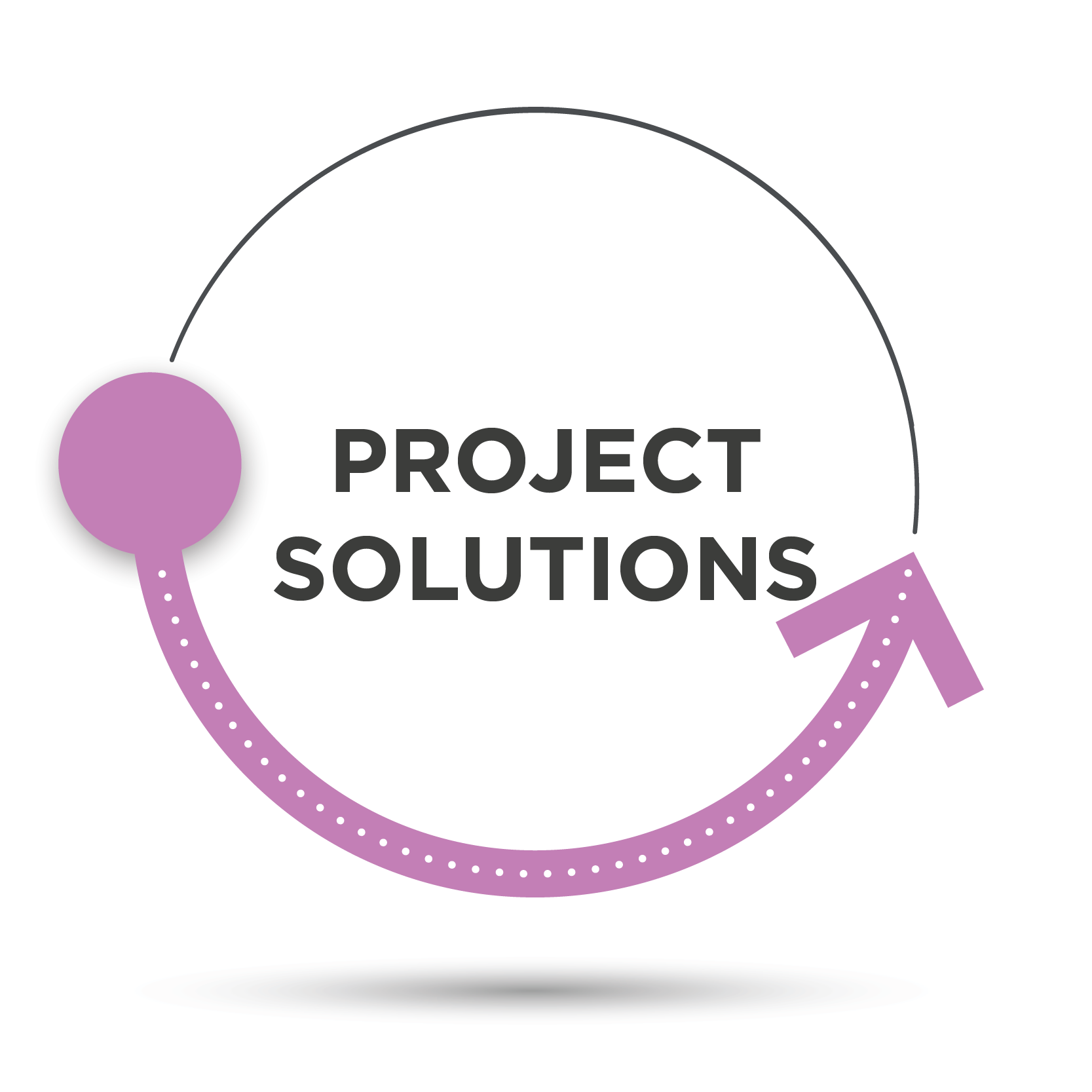 Project Solutions